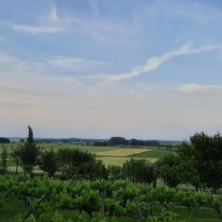 Apartament Koppany Vendeghaz *