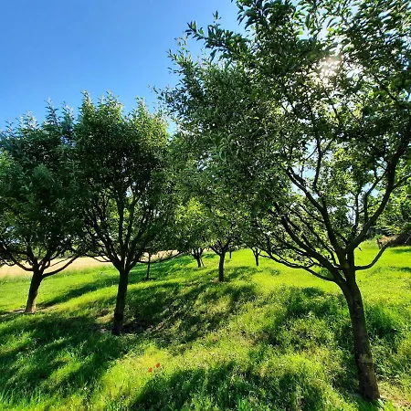 Apartment Koppany Vendeghaz Adand