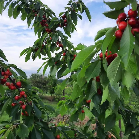 Apartment Koppany Vendeghaz Adand