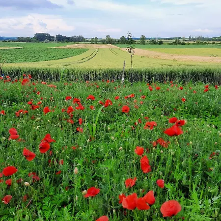 Apartament Koppany Vendeghaz *