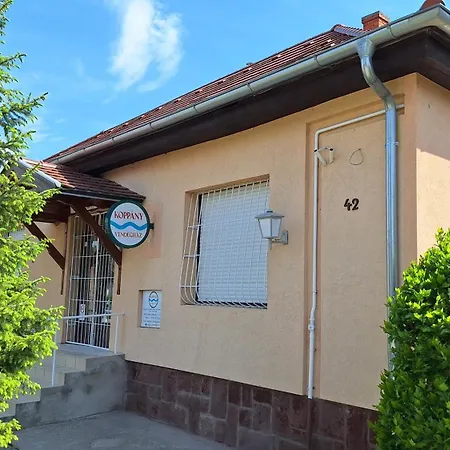 Koppany Vendeghaz Lejlighed
