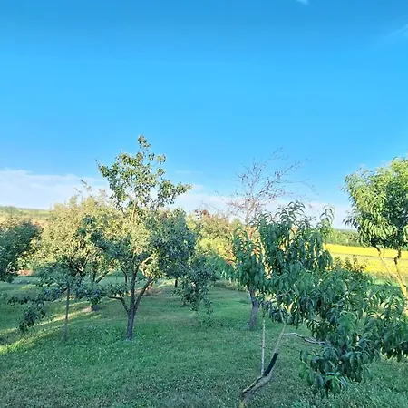 Koppany Vendeghaz * Adand