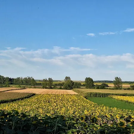 Koppany Vendeghaz Apartament