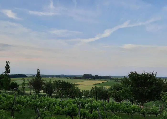 アパート Koppany Vendeghaz *