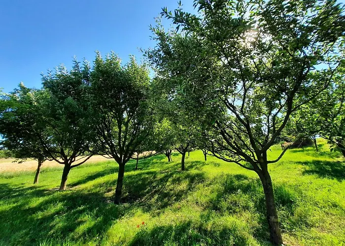 Διαμέρισμα Koppany Vendeghaz Adand