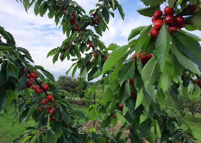 Lejlighed Koppany Vendeghaz Adand