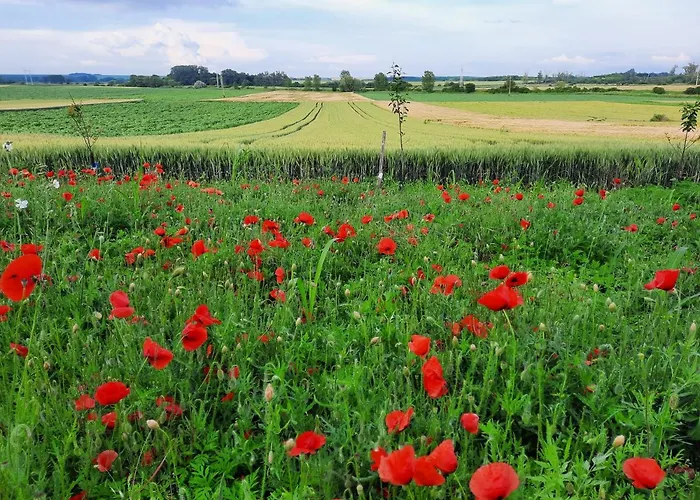 アパート Koppany Vendeghaz *