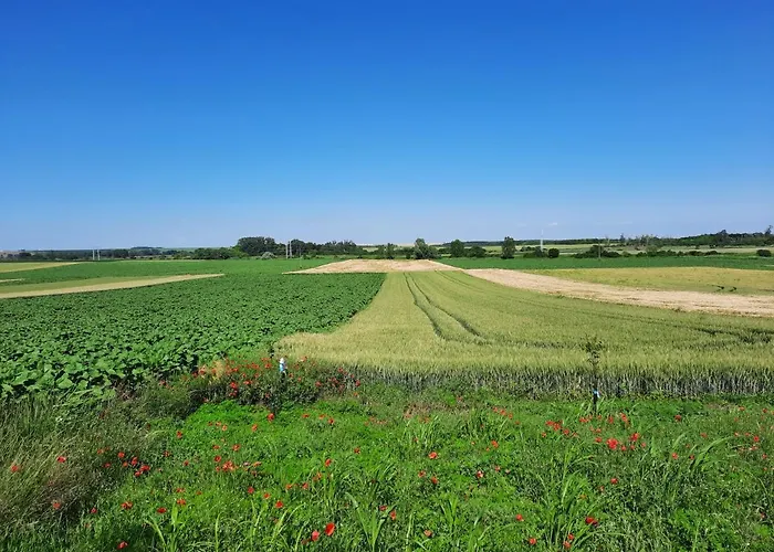 Koppany Vendeghaz アパート Adand