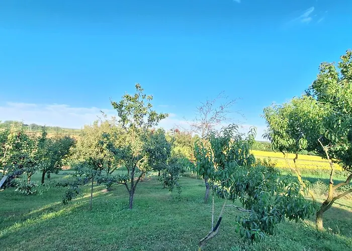 Koppany Vendeghaz * Adand