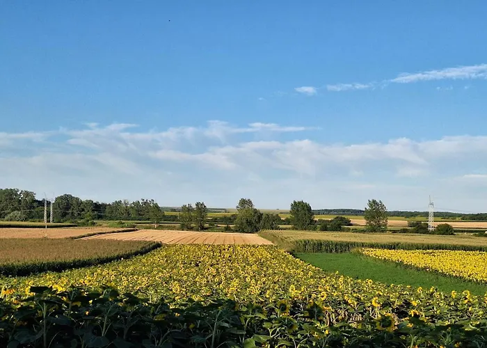 Koppany Vendeghaz Lejlighed